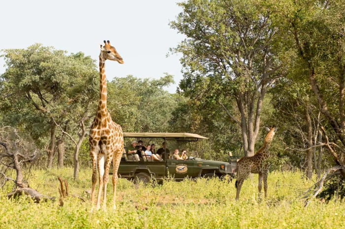 Sudáfrica en Reserva Privada de Lujo